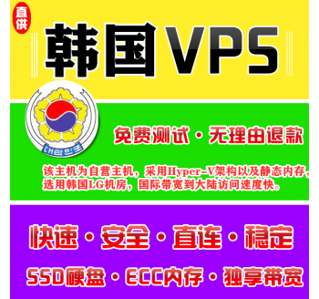 韩国VPS注册1024M推荐,双核云主机
